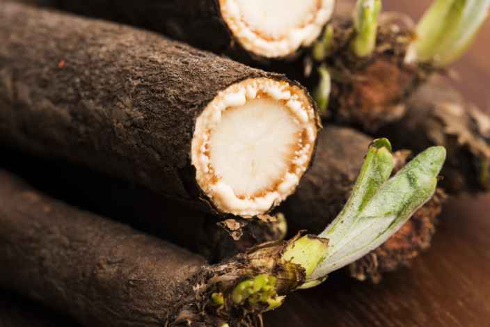 Знакомимся с козельцом