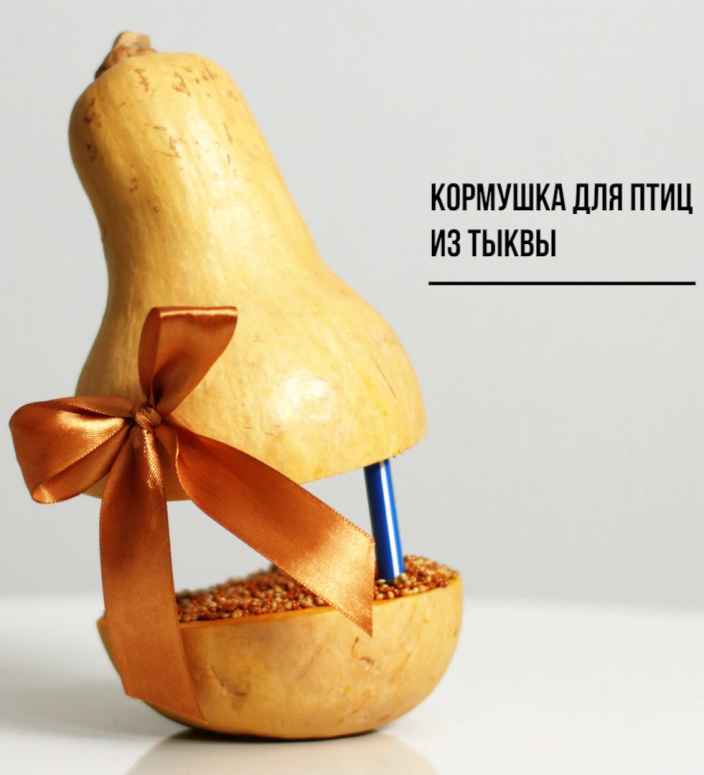 Лайфхаки: делаем кормушки для птиц