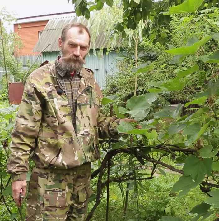 Как ухаживать за виноградом