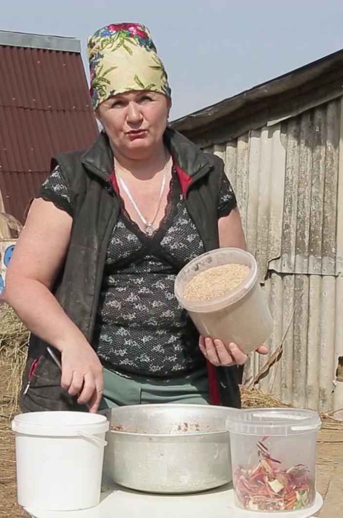 Как приготовить сочный корм для свиней