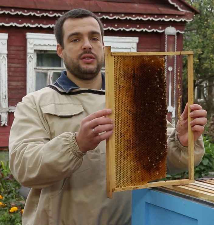 Как добывать пергу
