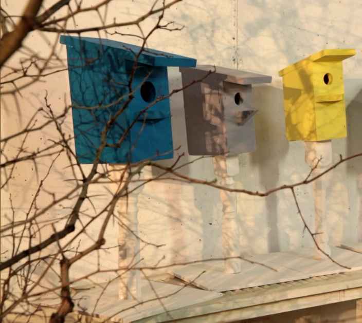 Дизайнерские скворечники для птиц