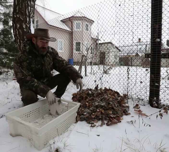 Утепляем розы на зиму