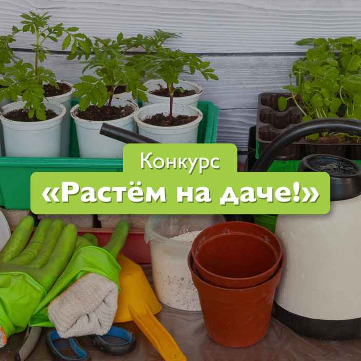 «Растём на даче!»