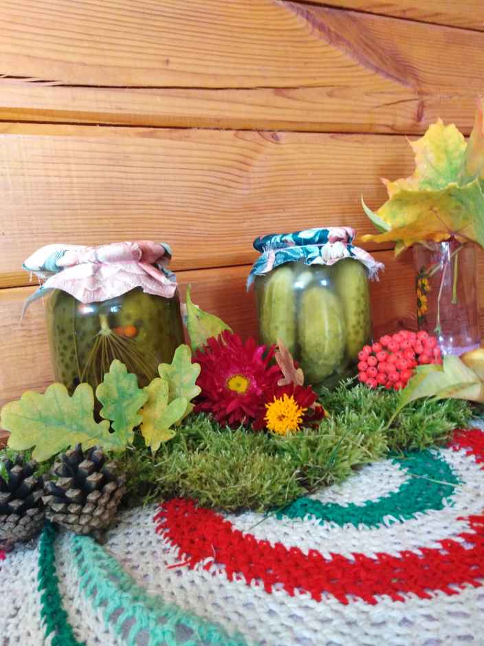 Огурцы солёные рецепт от бабушки🥒 