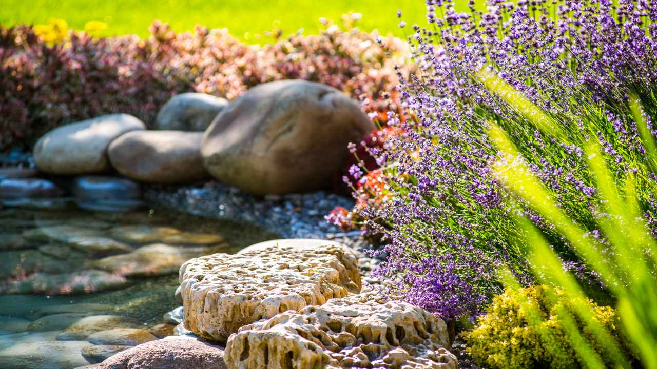 Фото: WhiteYura/Shutterstock.com
