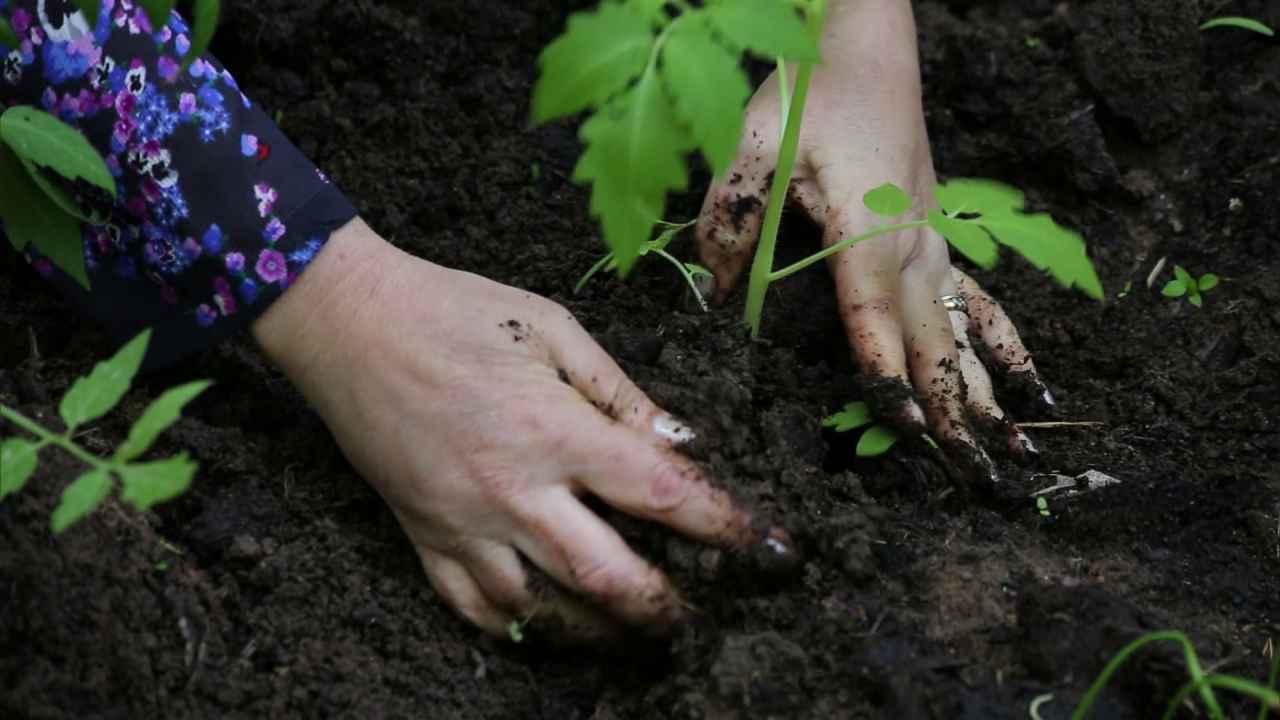 Избавляемся от земли под ногтями