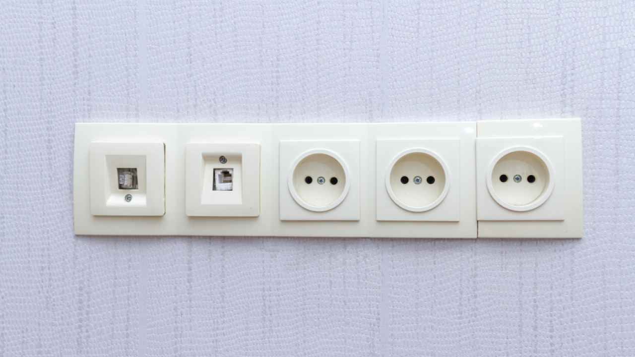 Фото: Payless Images/Shutterstock.com 