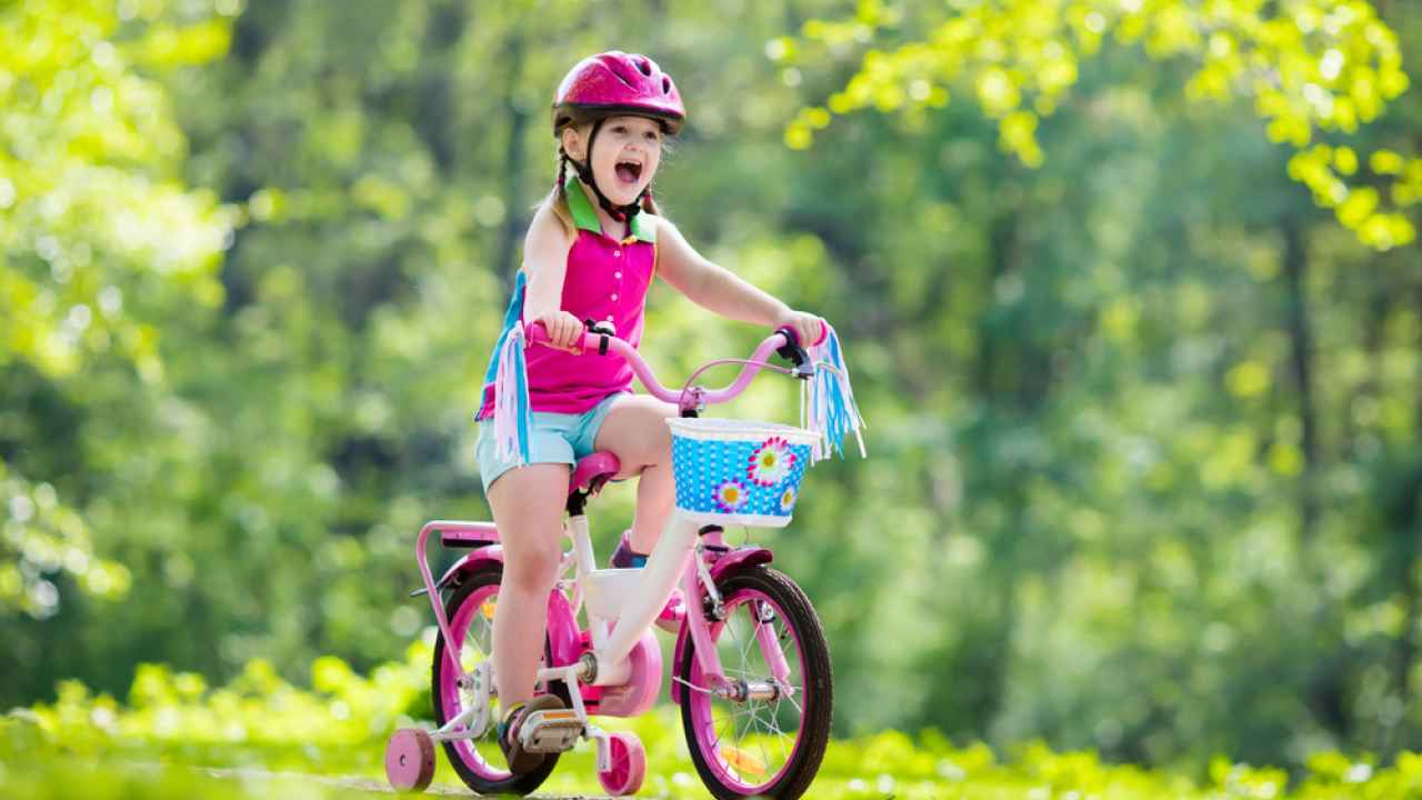 Фото: FamVeld / Shutterstock