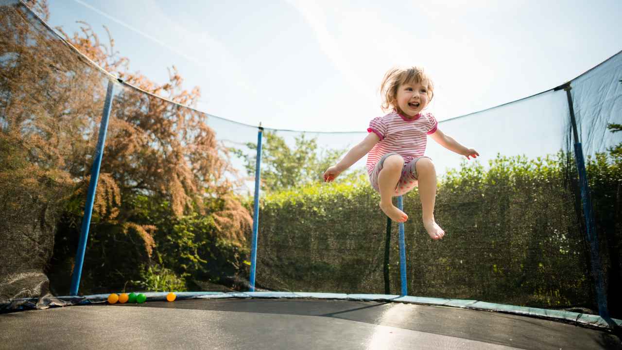 Фото: Martin Novak/Shutterstock.com