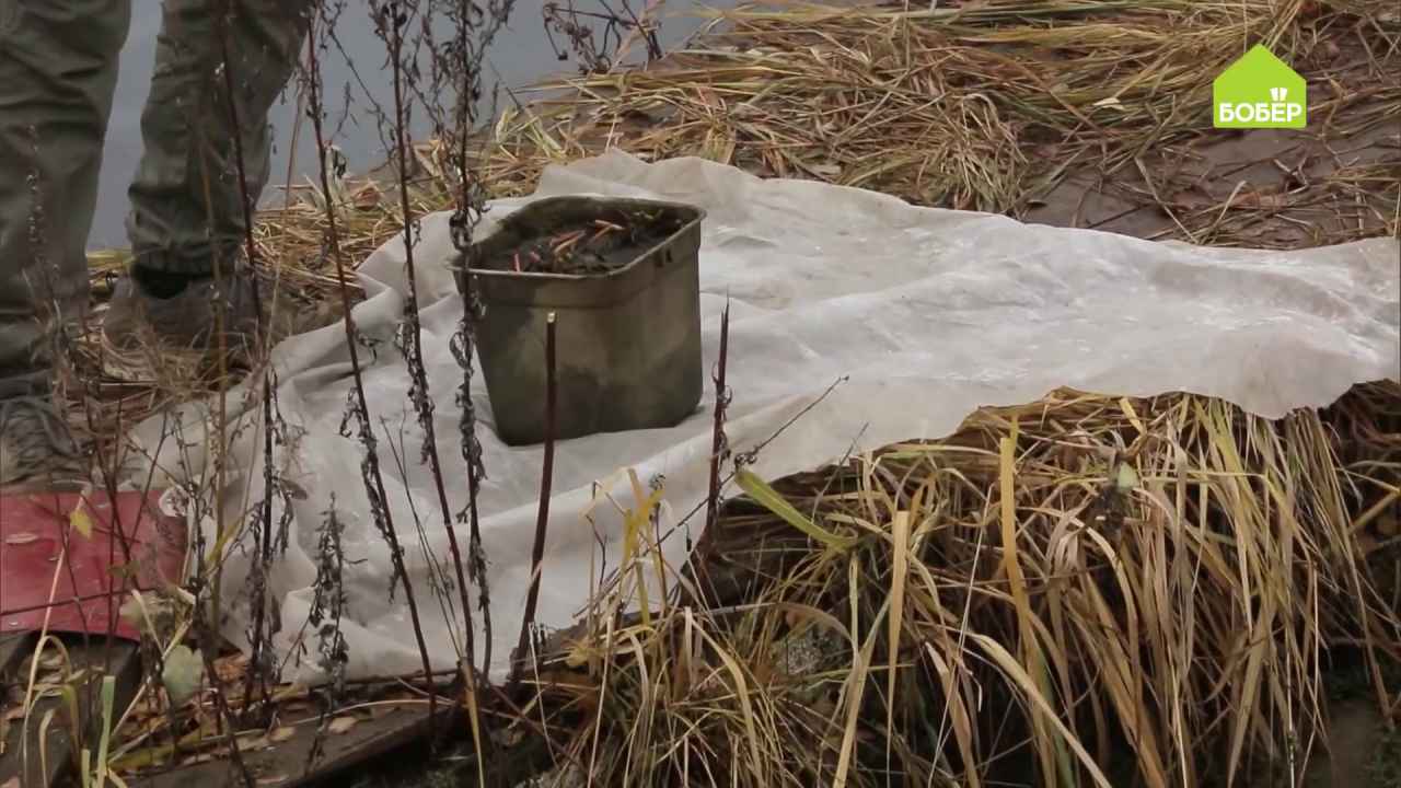 Зимовка в пруду