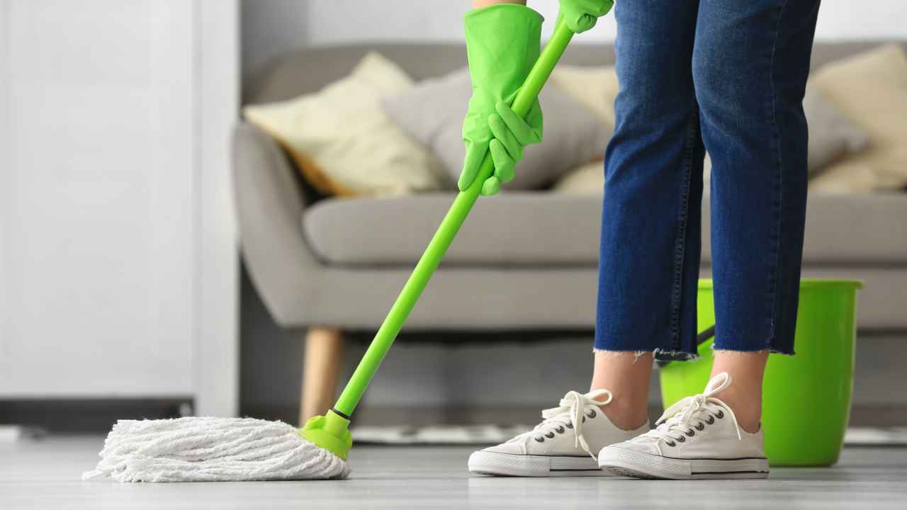 Фото: Pixel-Shot/Shutterstock.com
