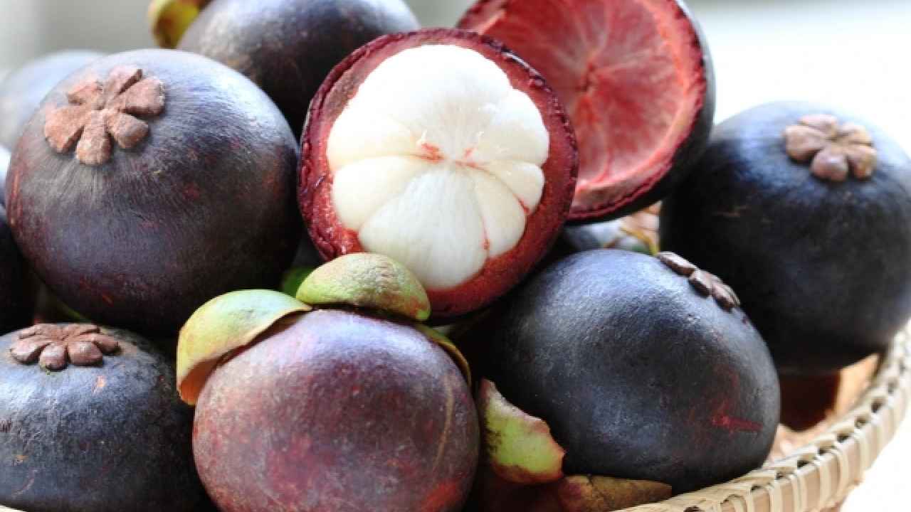 Фото: sudalim/Shutterstock.com