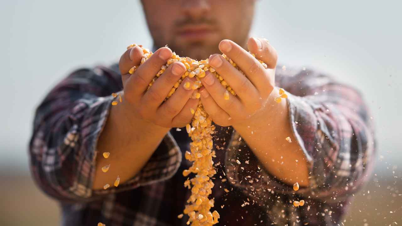 Фото: Fotokostic/Shutterstock.com