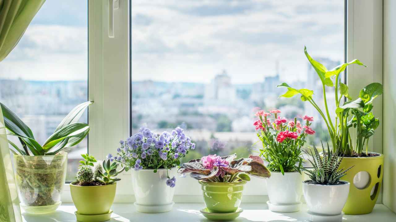 Фото: Triff/Shutterstock.com