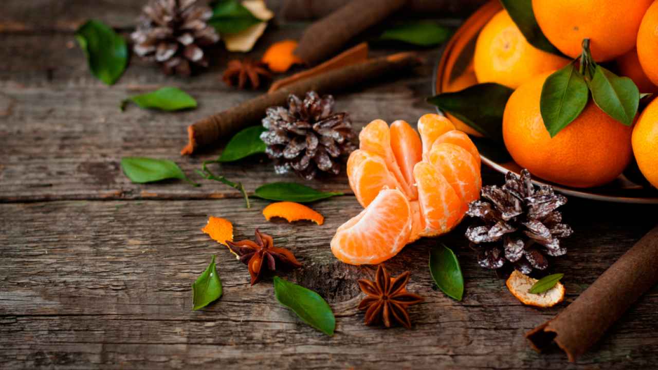 Фото: Nadezda Sereda/Shutterstock.com 