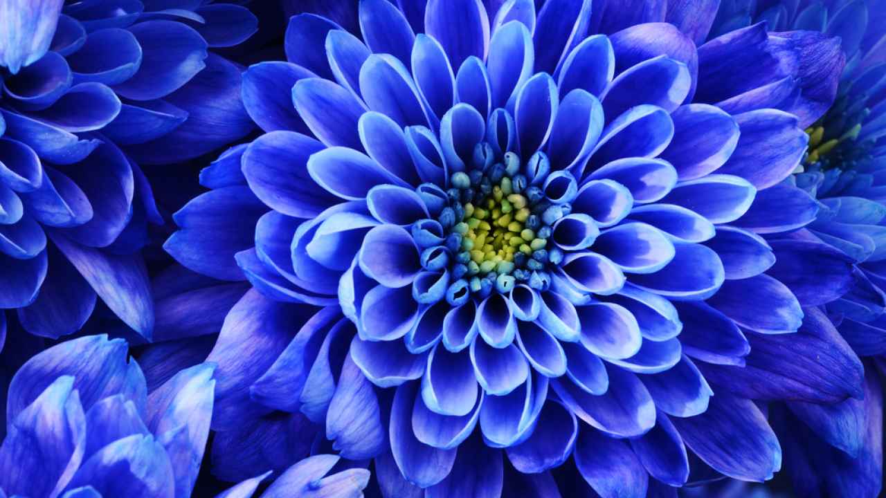 Фото: fullempty/Shutterstock.com