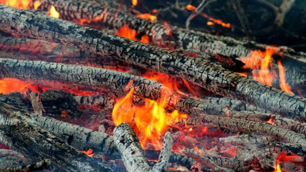 Зола – ценное удобрение