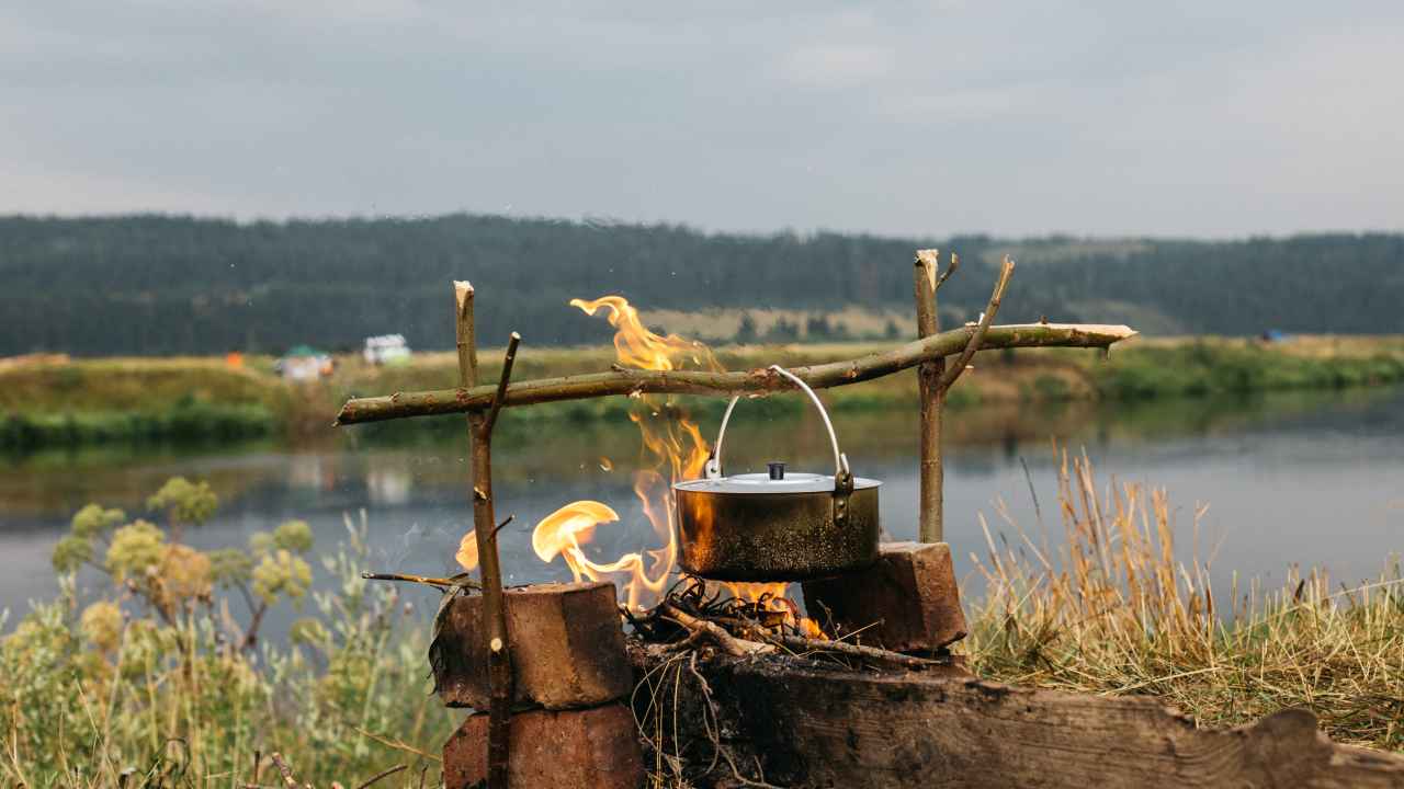 Фото: Ekaterina Shcherbakova / Shutterstock.com