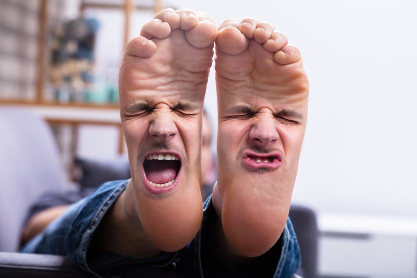 Фото: Shutterstock