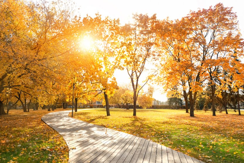 Фото: Shutterstock