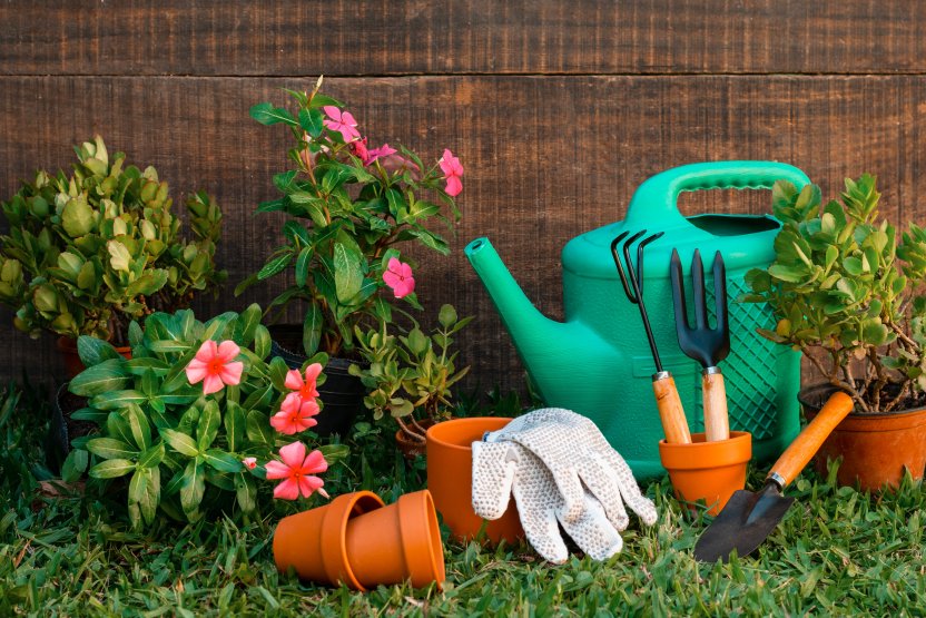 Фото: Itsactuallyved/Shutterstock.com